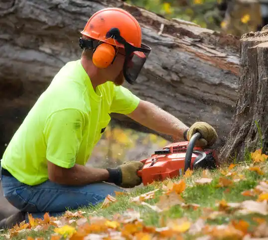 tree services Valdese